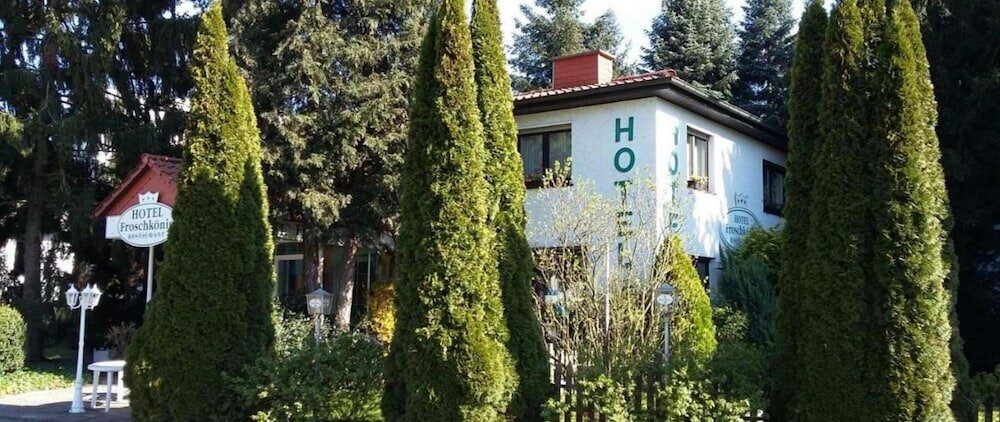 Фото Hotel Froschkönig