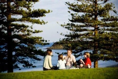 Гостиница Beachfront Cottages Torquay