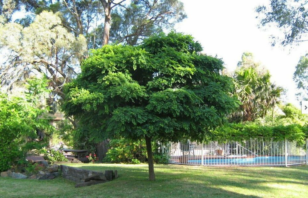 Фото Seymour Motel