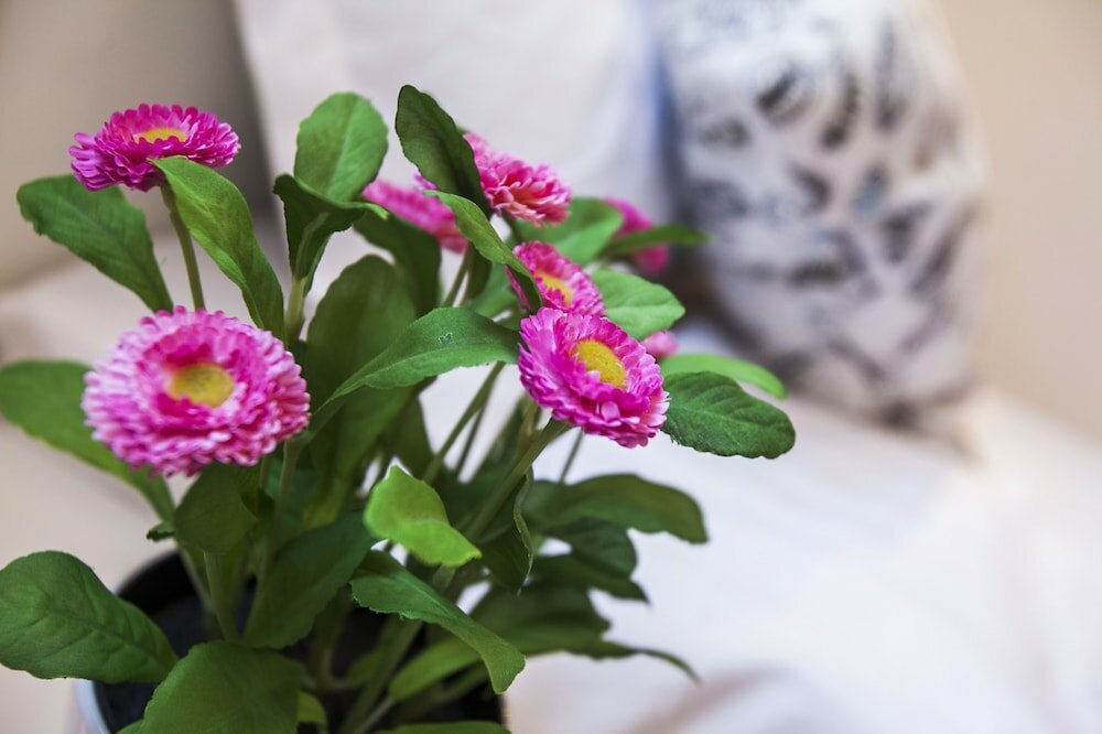 Фото Fortune-Inn