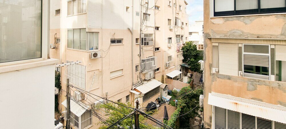 Фото Dizengoff Anemone