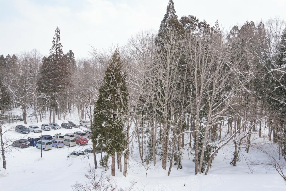 Фото Hakuba Tokyu Hotel