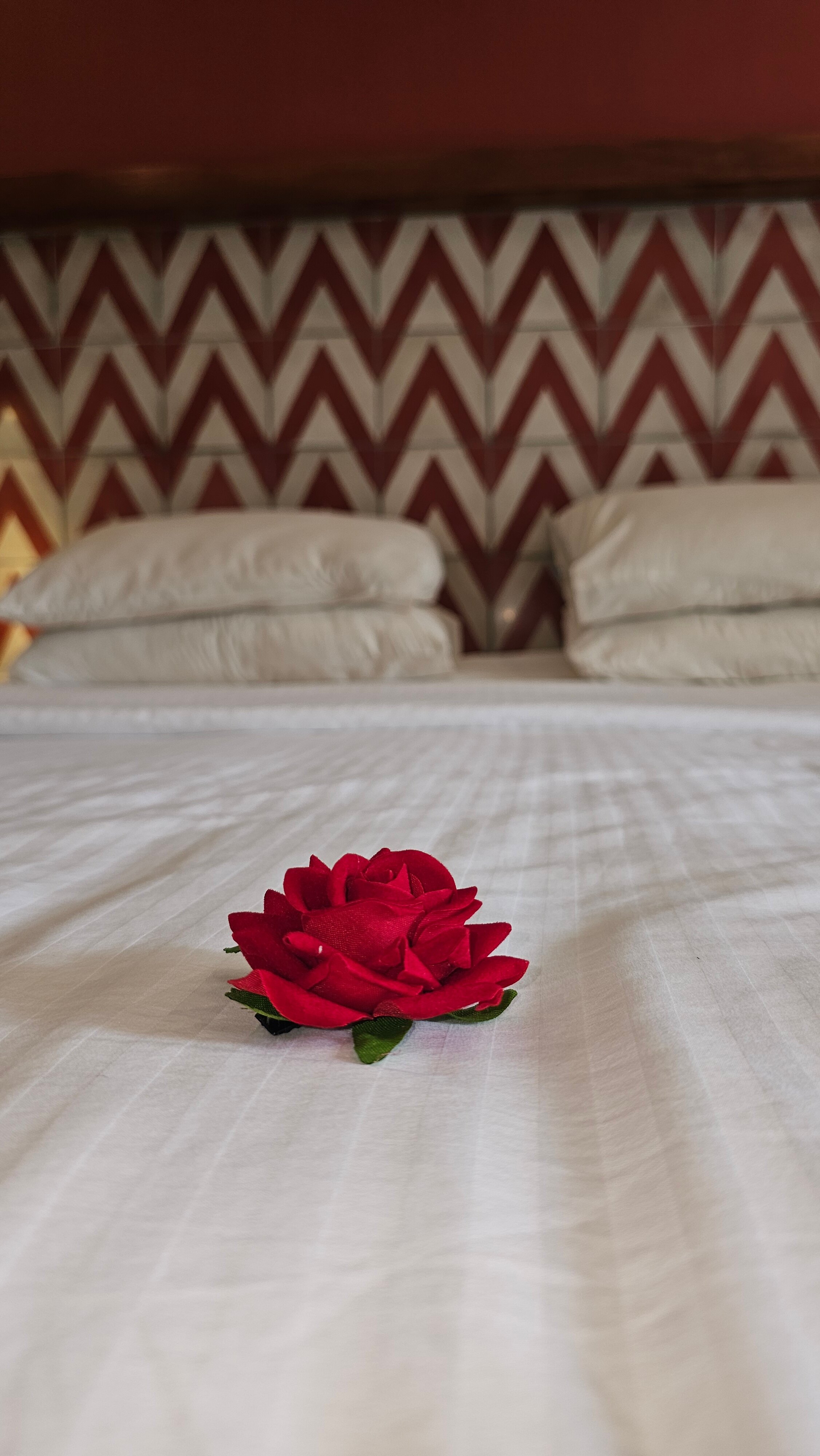 Фото Cinnamon Bey Beruwala