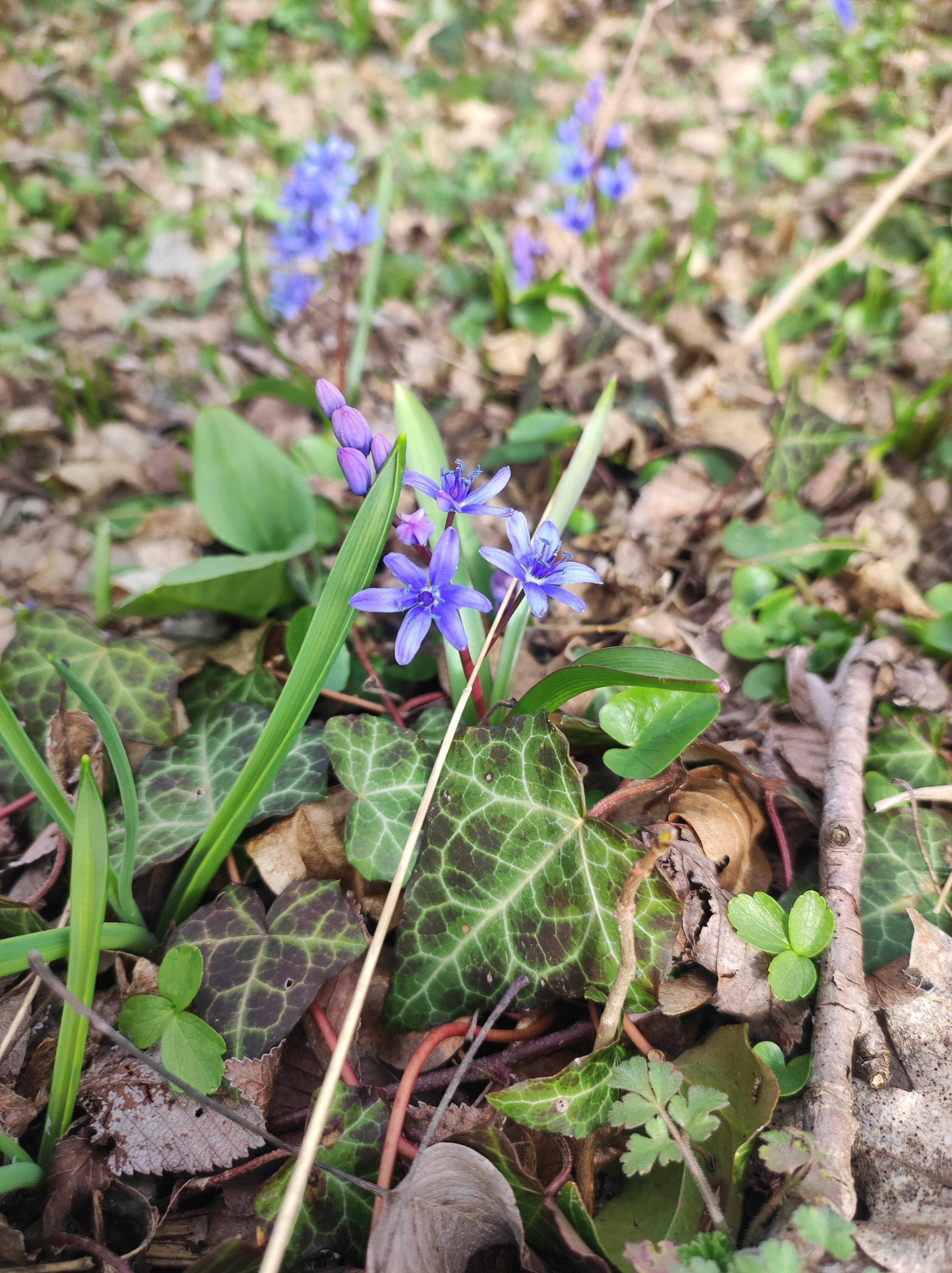 Фото Уркуста-парк