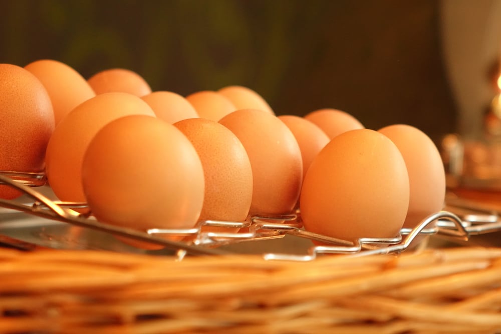 Фото Hotel Stiemerheide