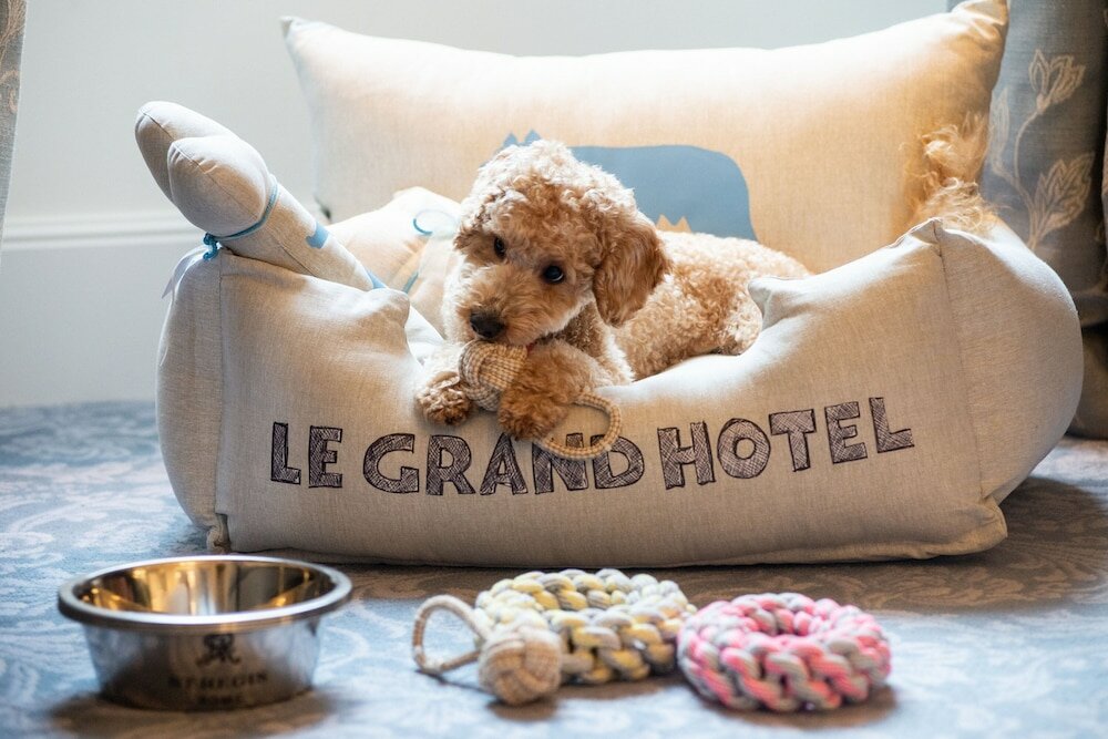 Фото The St. Regis Rome