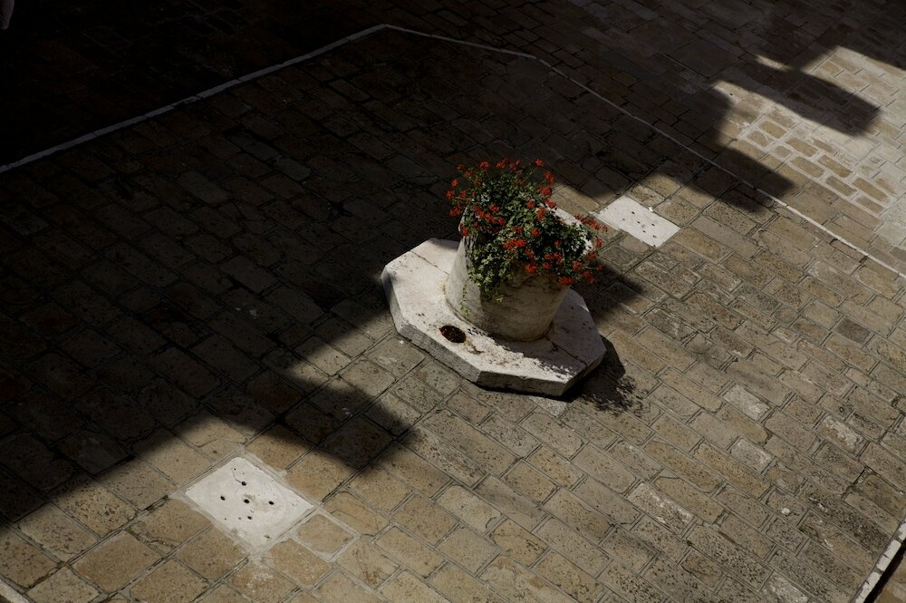 Фото Hotel Al Codega