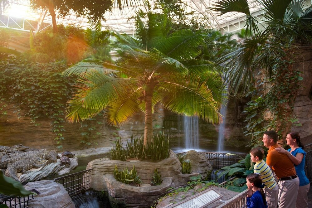Фото Gaylord Palms Resort & Convention Center