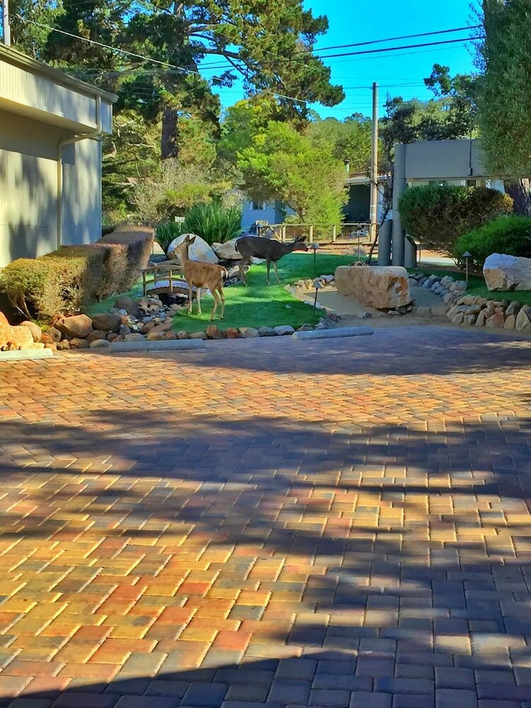 Фото Best Western The Inn & Suites Pacific Grove