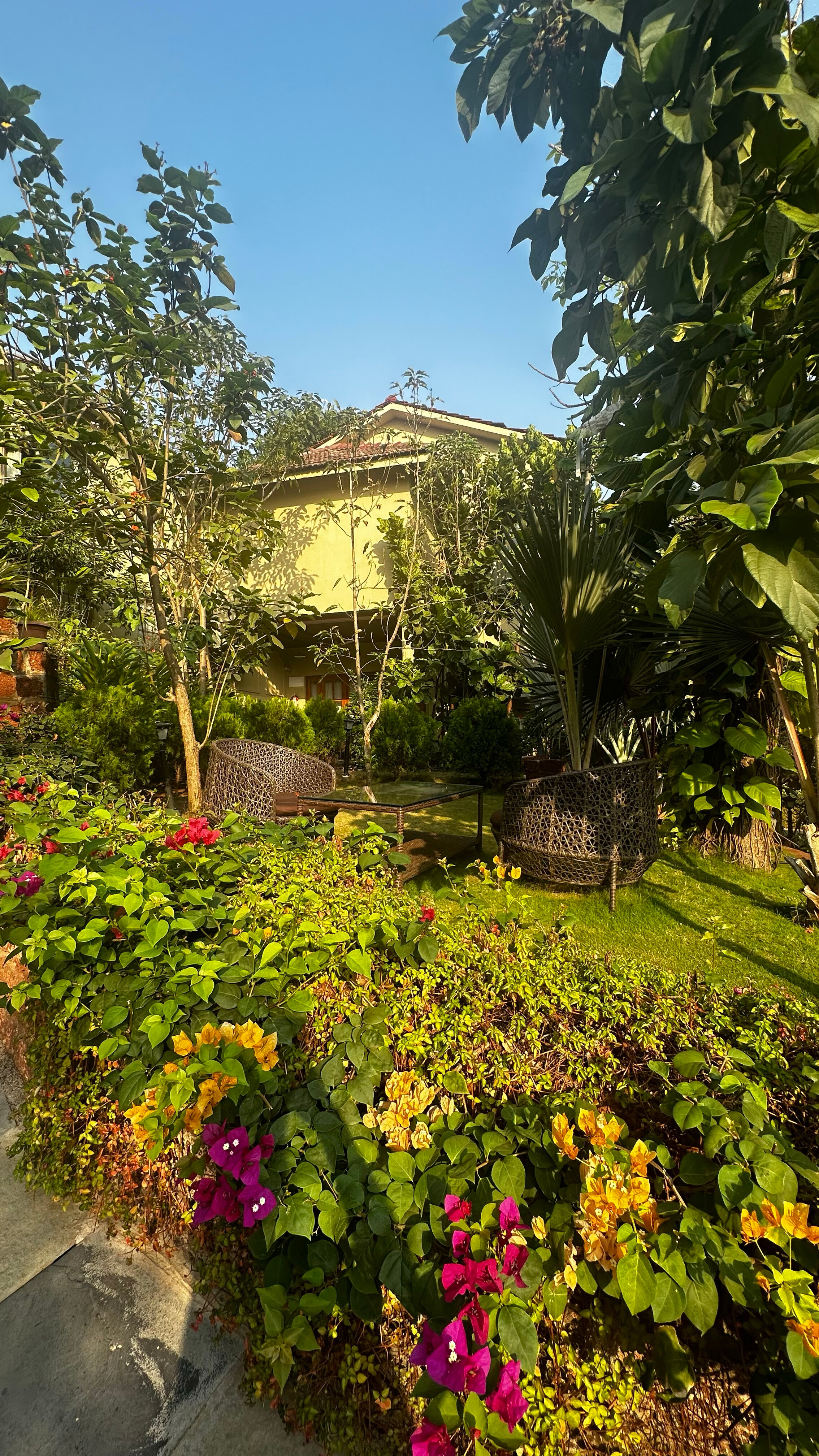 Фото Amritara Aura Resort & SPA	