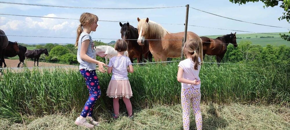 Фото Pension Zelený grunt