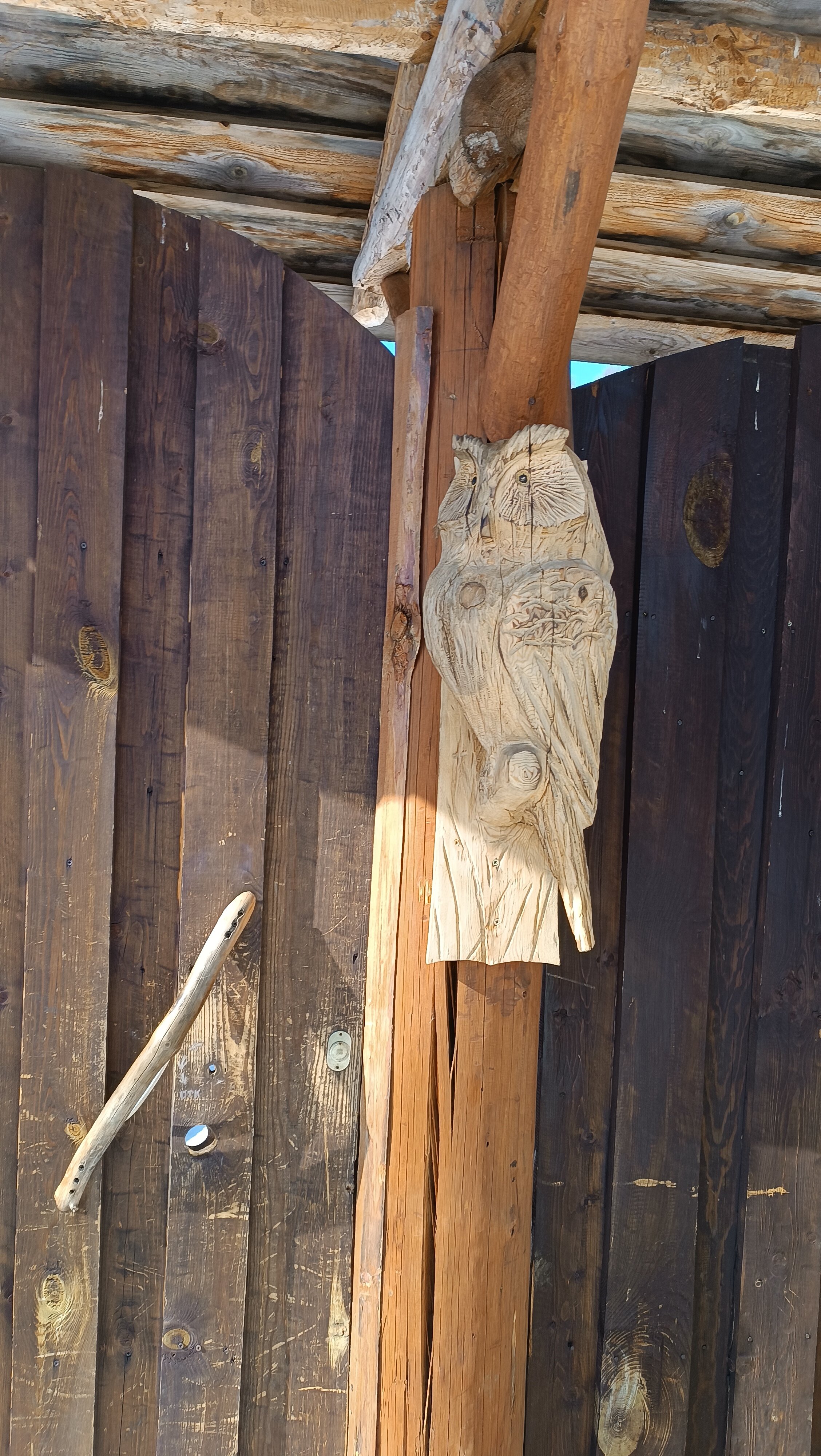 Фото Ясная поляна