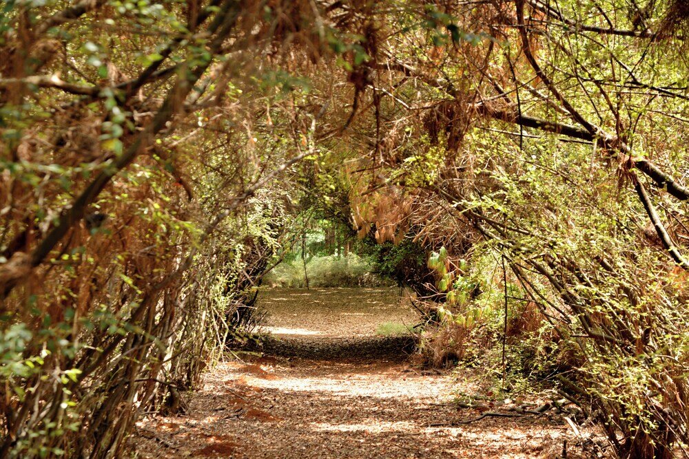 Фото Dunkeld East