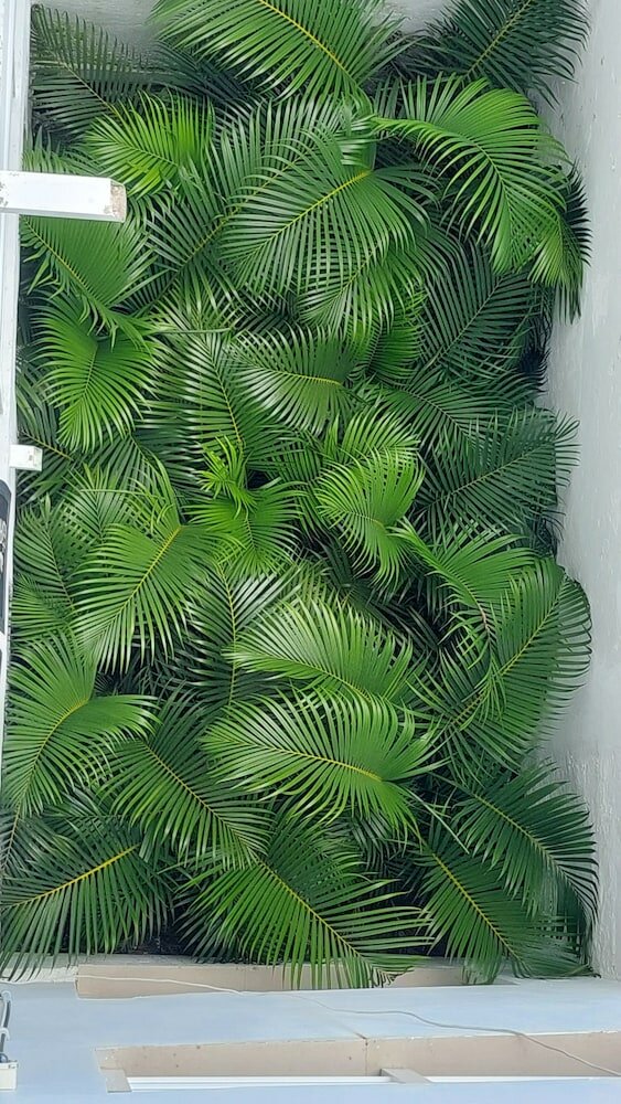 Фото Bahia San Andres Hospedaje