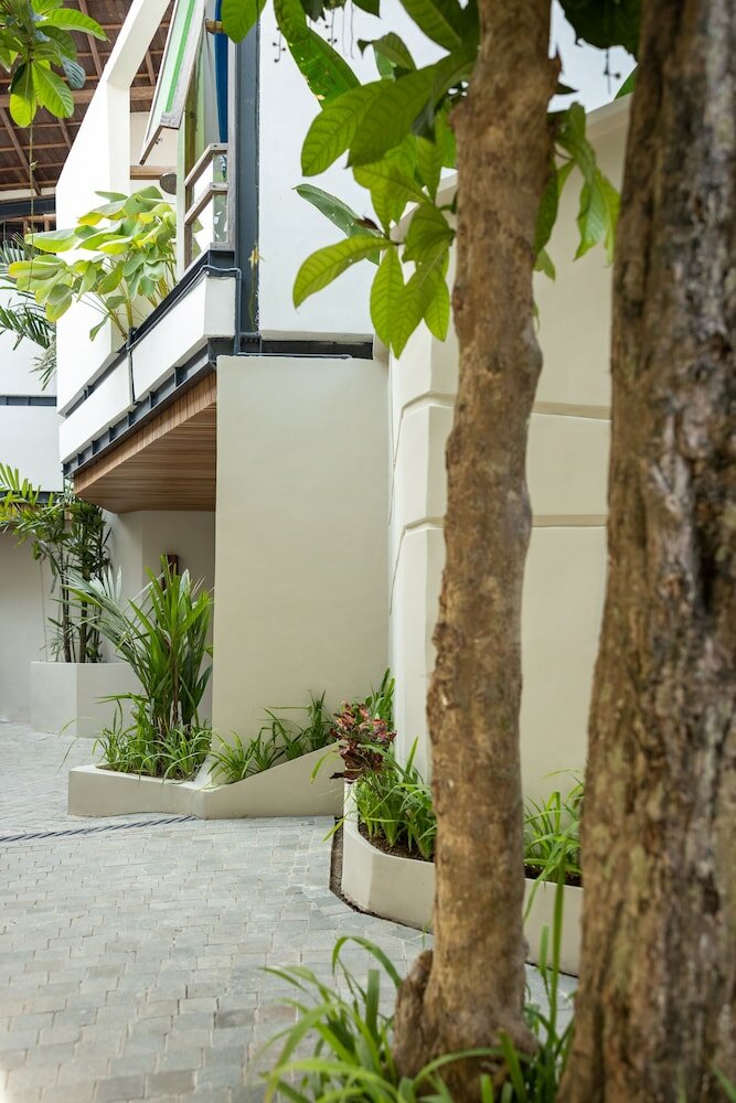 Фото Skove Canggu