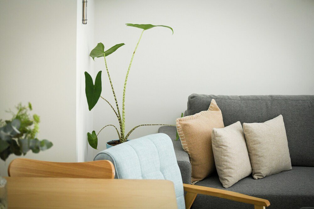 Фото Simple Living in Tel Aviv by Sea N' Rent