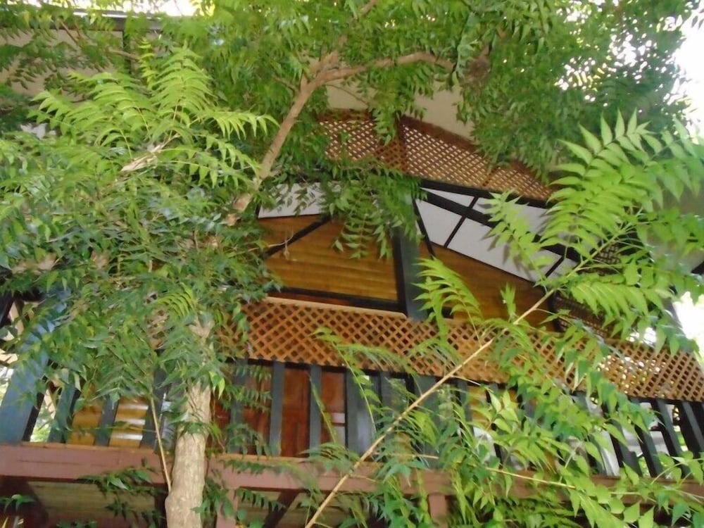 Фото Hotel Cabinas La Playa