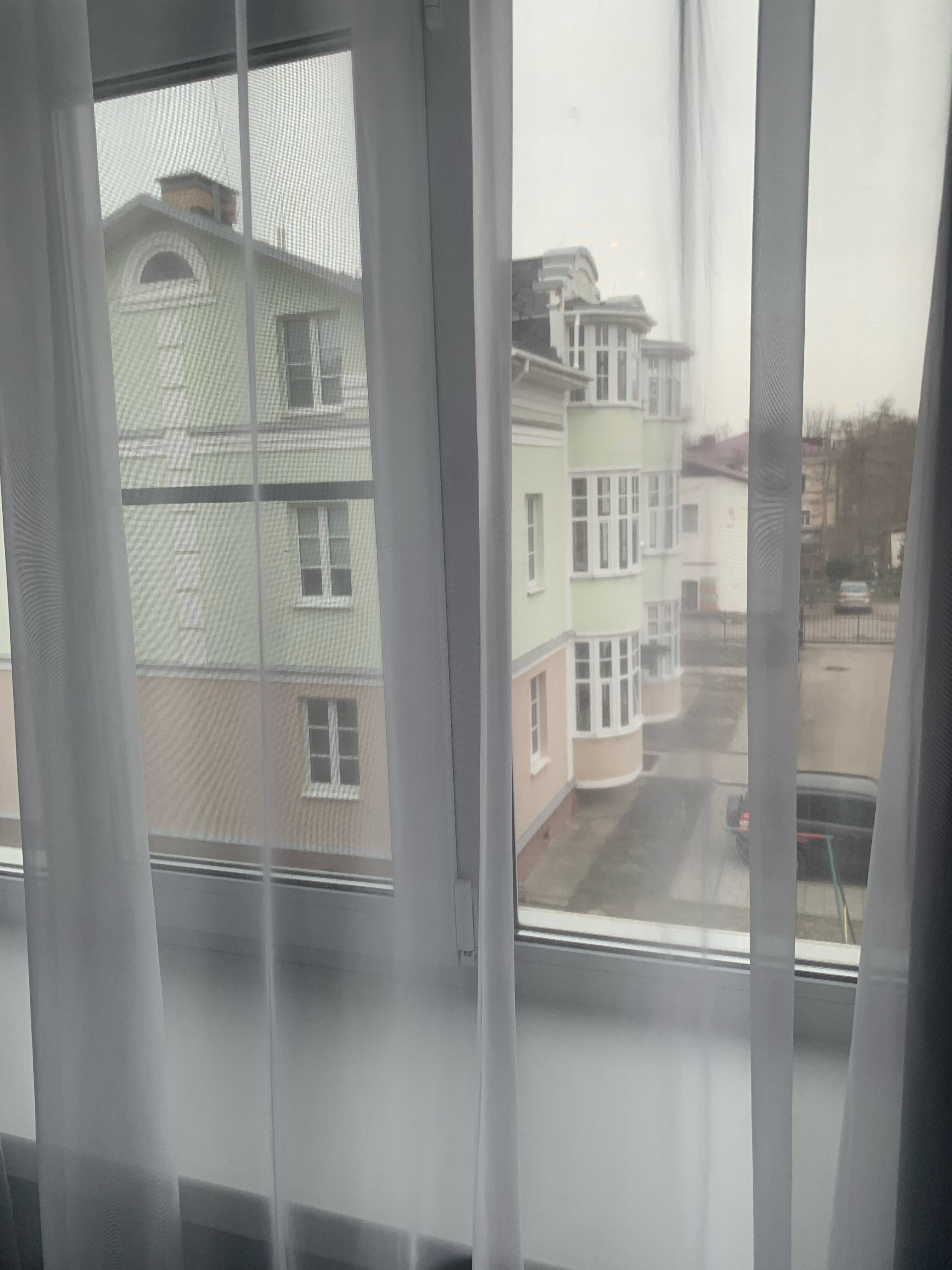 Фото Вишневый Рояль