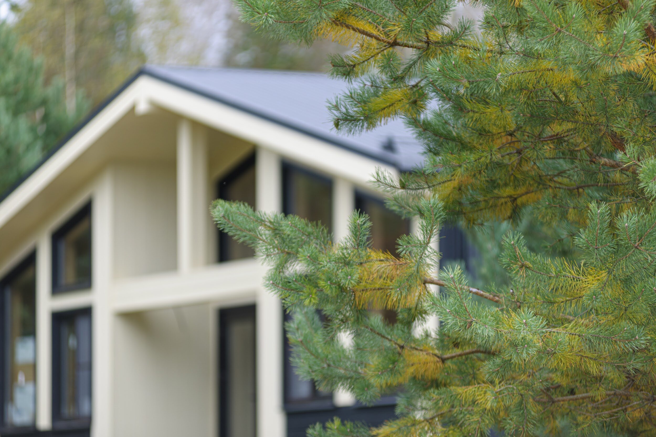 Фото Заповедное