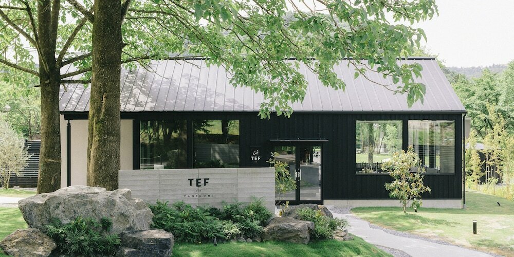 Фото Tef Tanıgumı