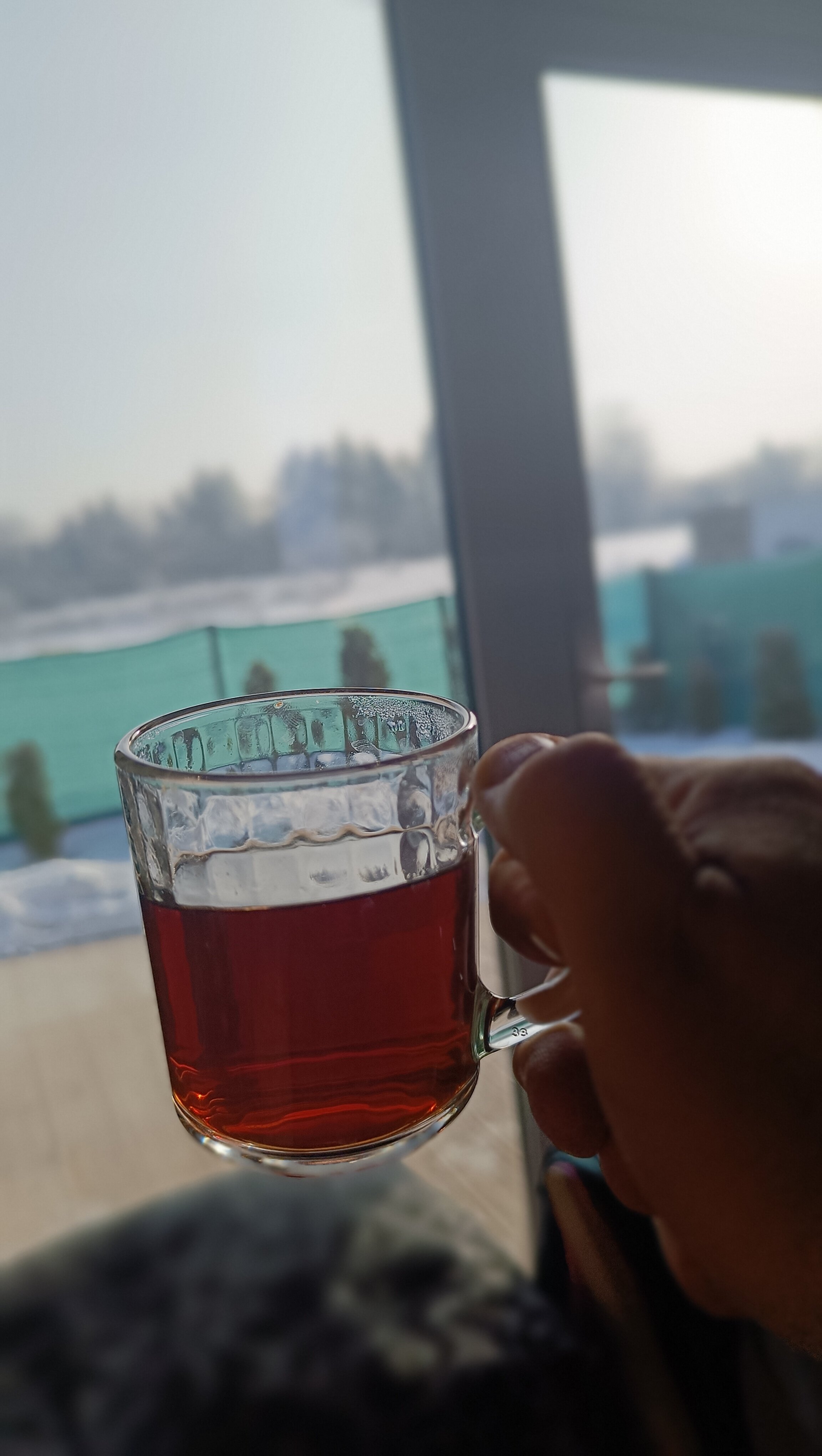 Фото У реки