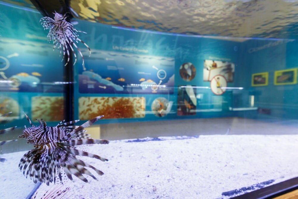 Фото SAii Phi Phi Island Village