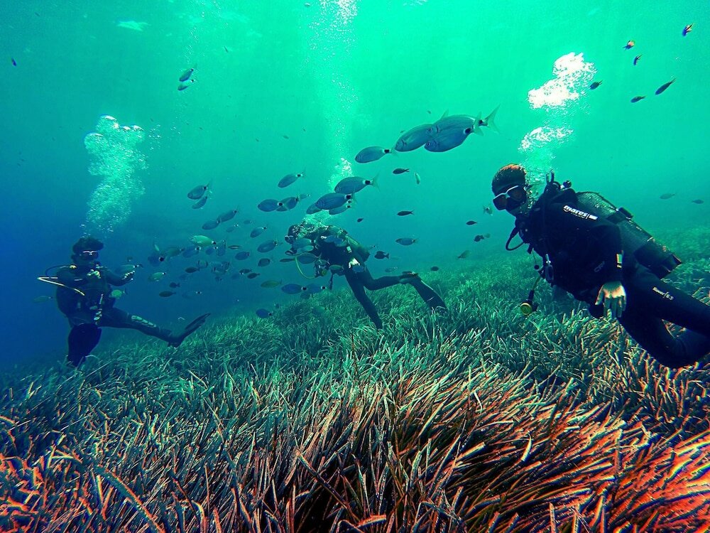 Фото Santonero - The Philoxenia Project