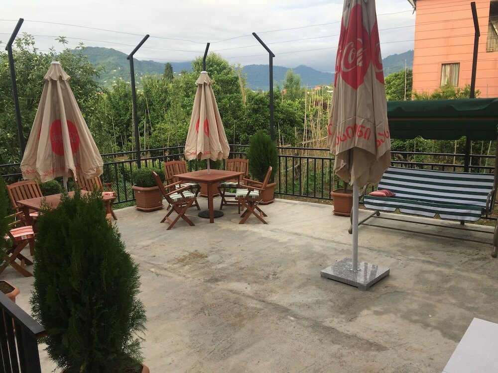 Фото Hotel Botanica