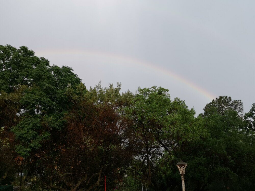 Фото Paulshof Guesthouse