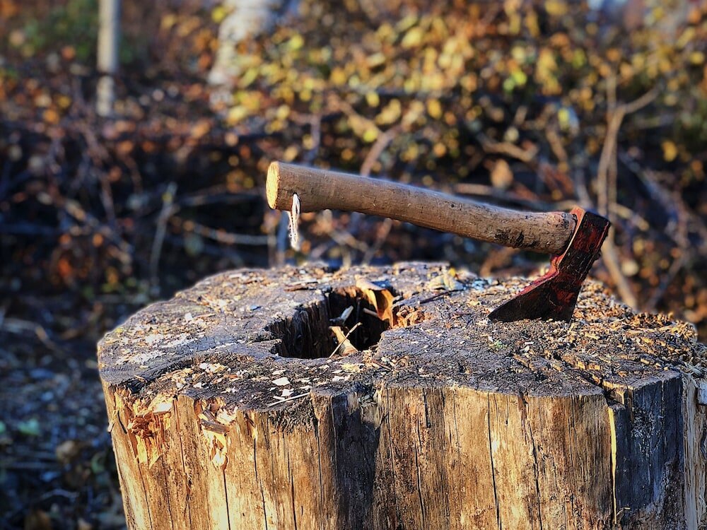 Фото Vildmarks Lodge