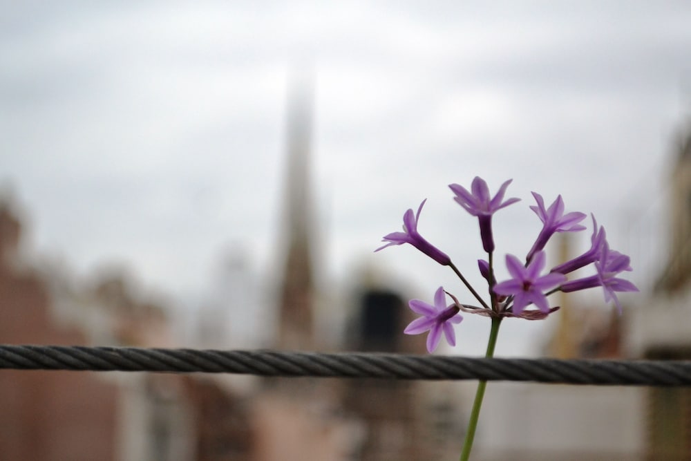 Фото Departamentos Rondeau by Lugar