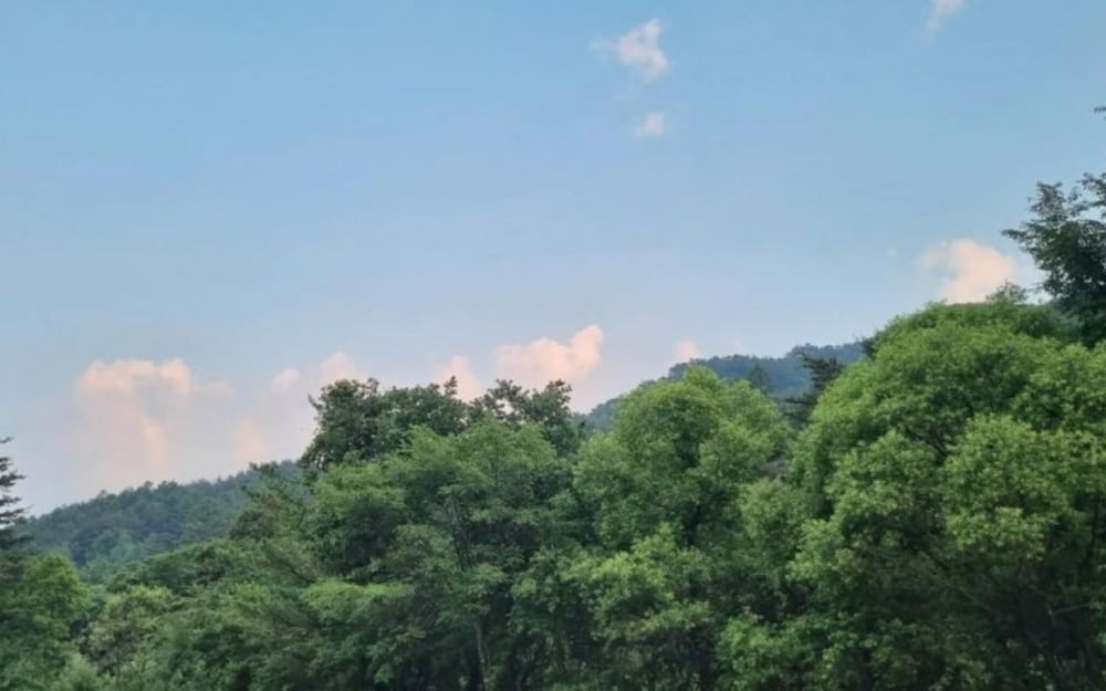 Фото Jeongseon Solmi Pension