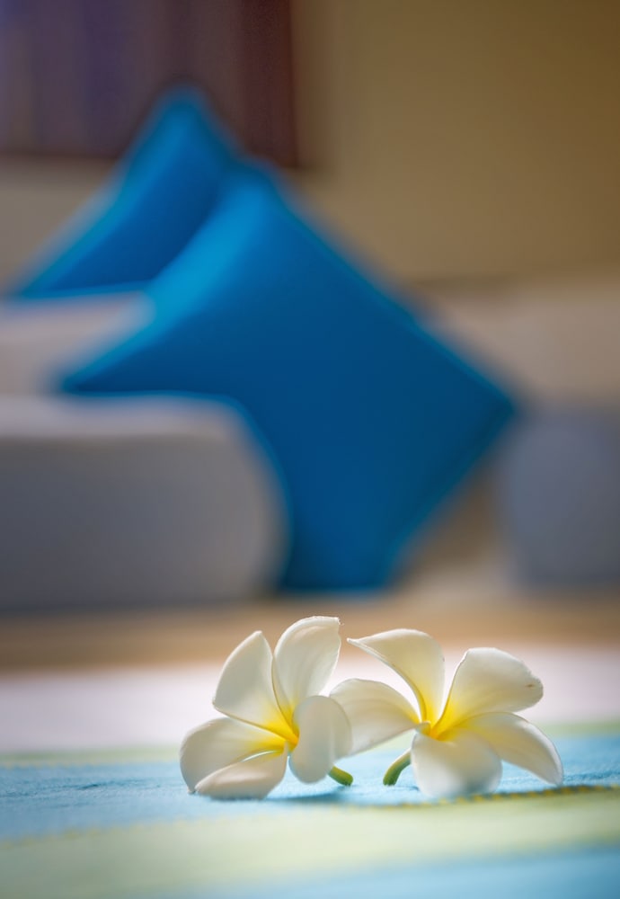 Фото Zylan Colombo