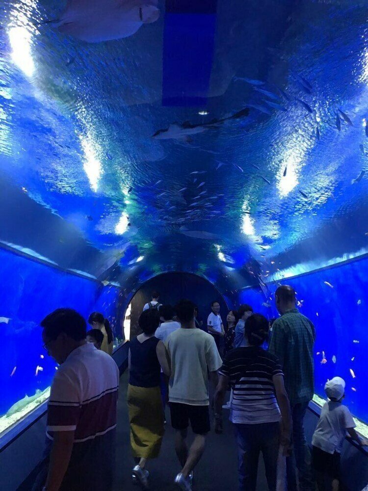 Фото Dajoko House