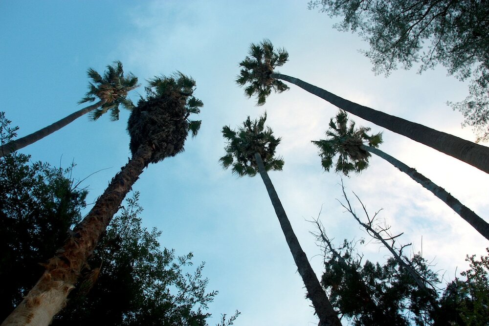 Фото Ghaub Nature Reserve & Farm