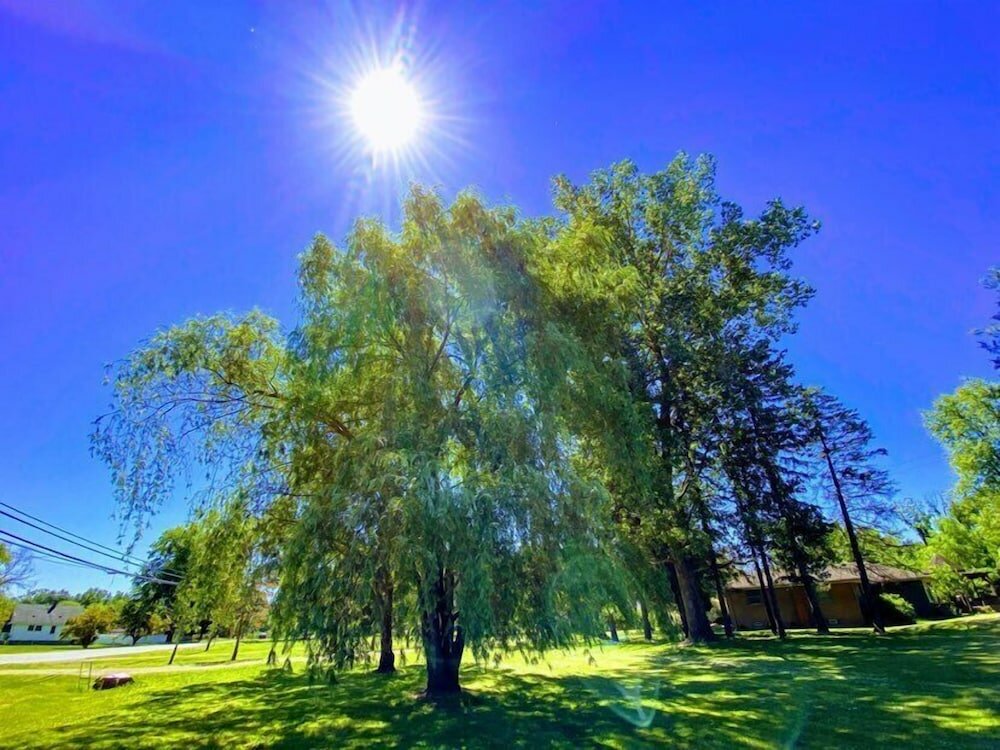 Фото The Sanctuary On Huron River