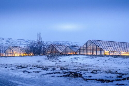 Гостиница The Greenhouse Hotel