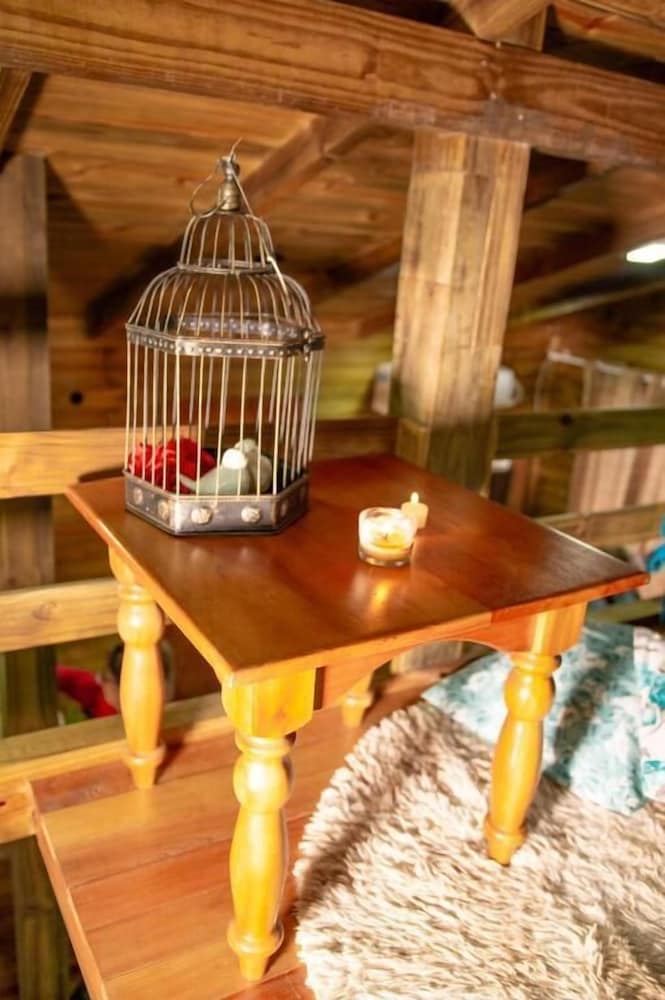 Фото Cabanas Aconchego dos Canyons