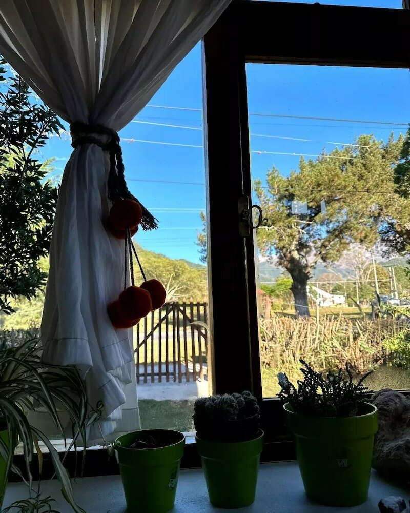 Фото La Pichonita