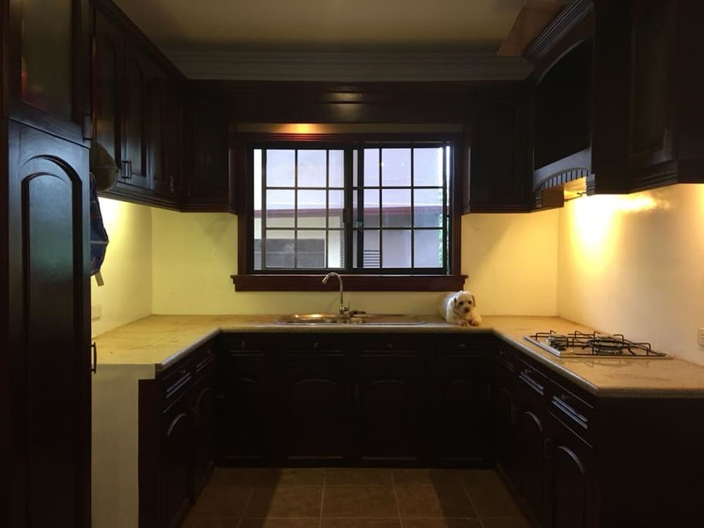 Фото Spinning Cat Hostel - Adults Only