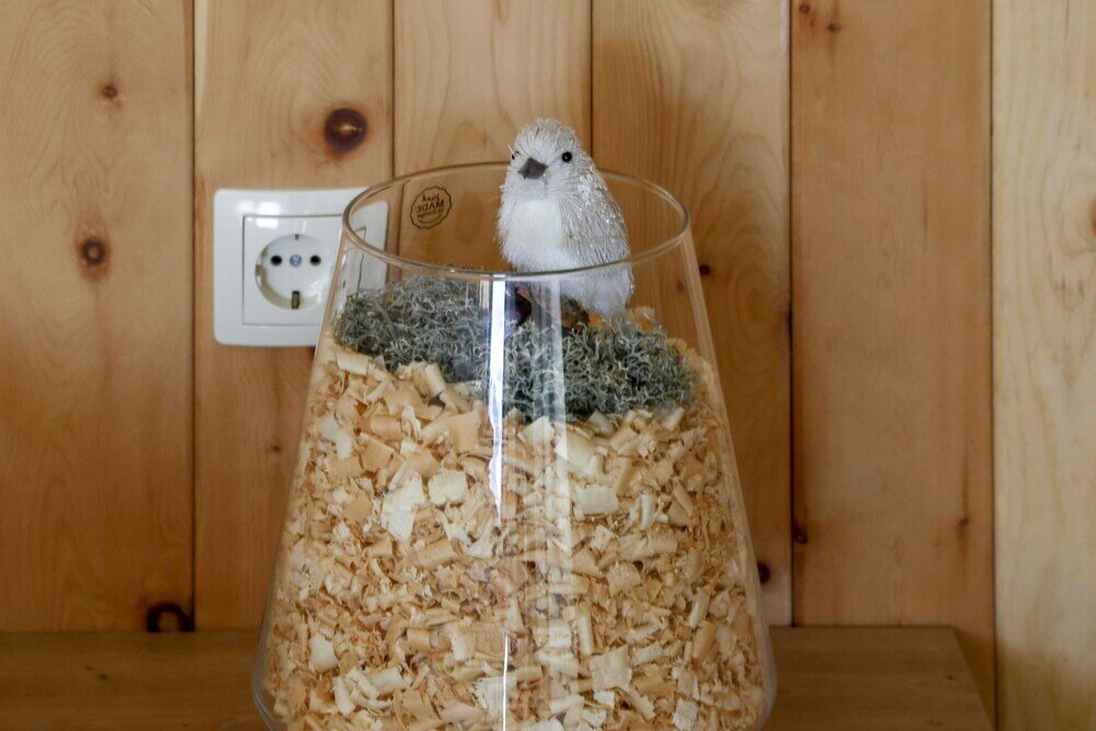 Фото Studio 1111 With Sauna