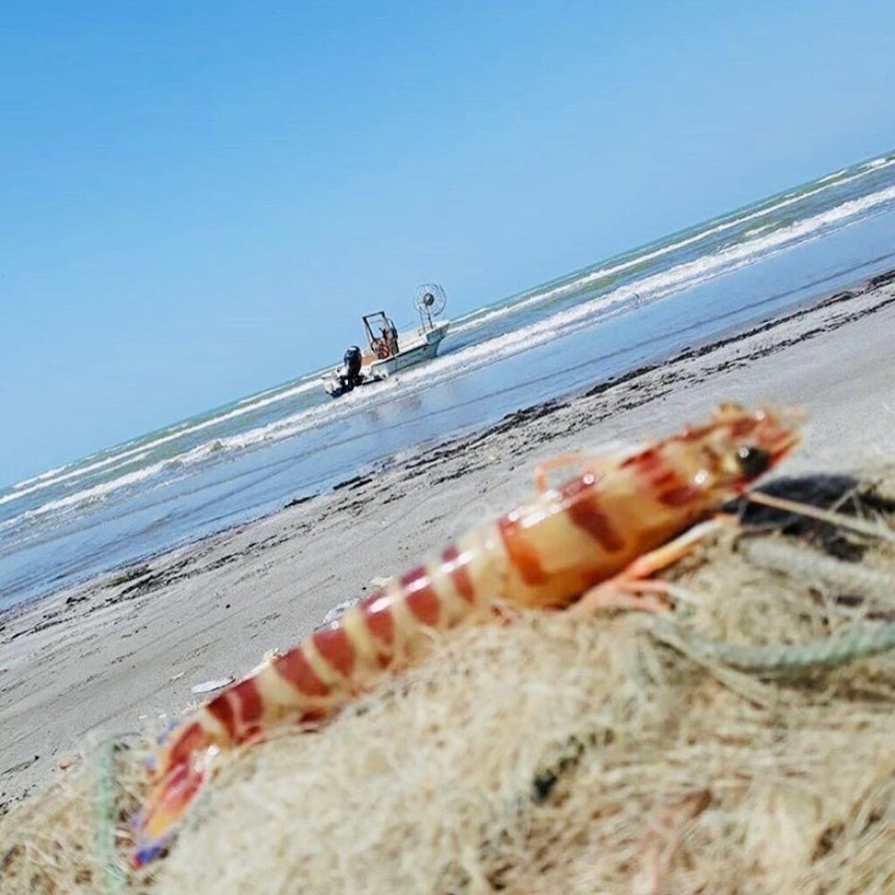 Фото Pasho's House