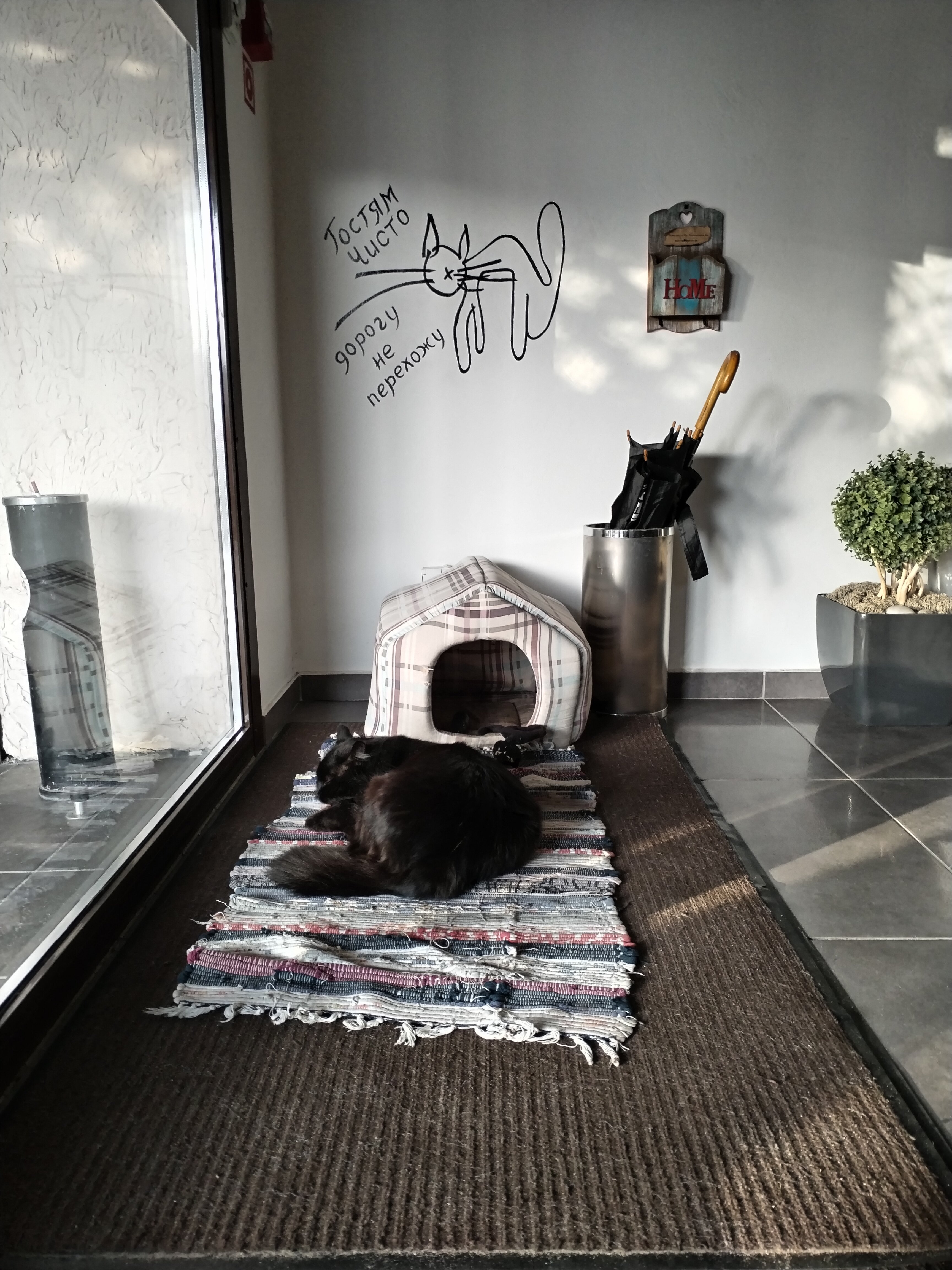 Фото Чисто Отель