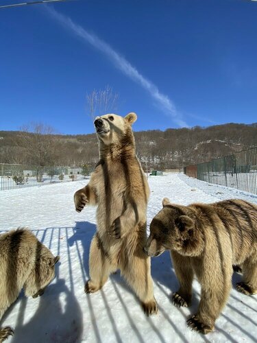 Внешний вид отеля Mimino T&g в Тбилиси, фото 5