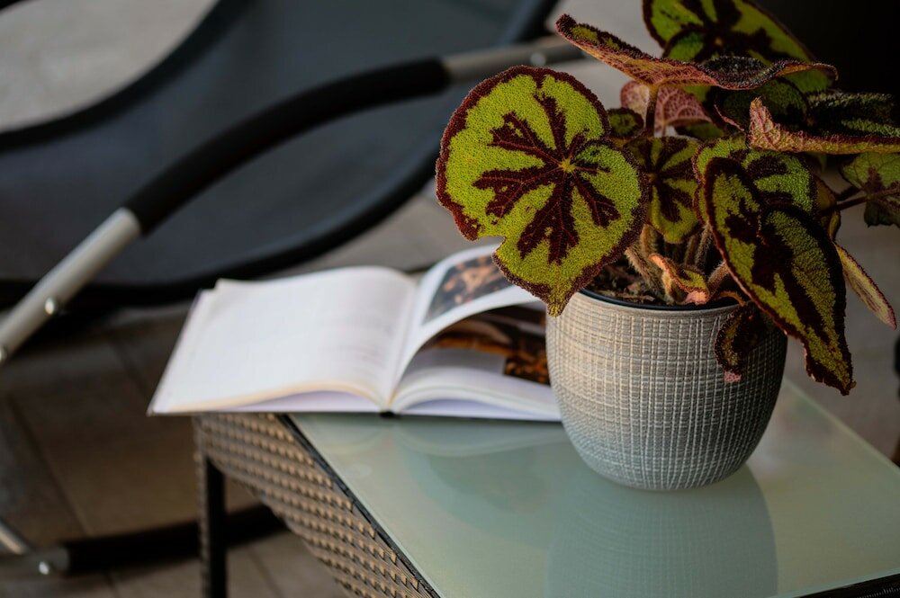 Фото Home Big CrIré at '724