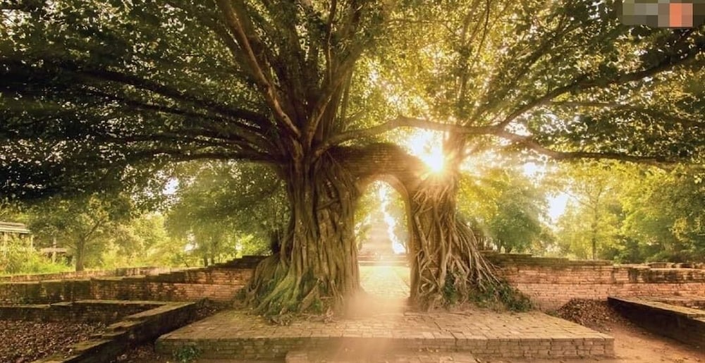 Фото Lom Choi Home Stay Ayutthaya - Hostel