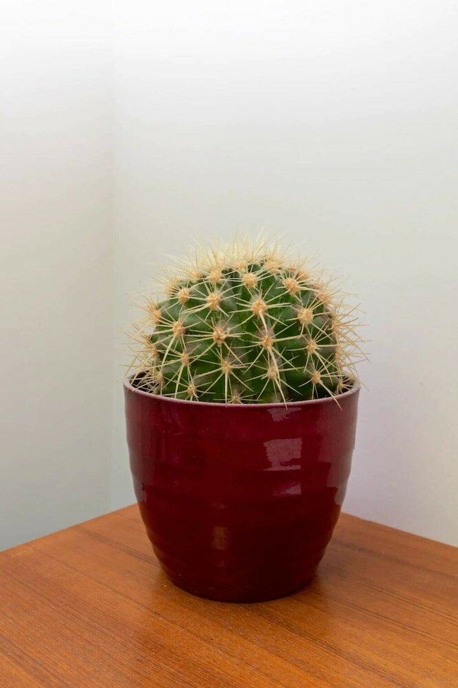 Фото Spacious and Bright 2 Bedroom Flat in Kentish Town