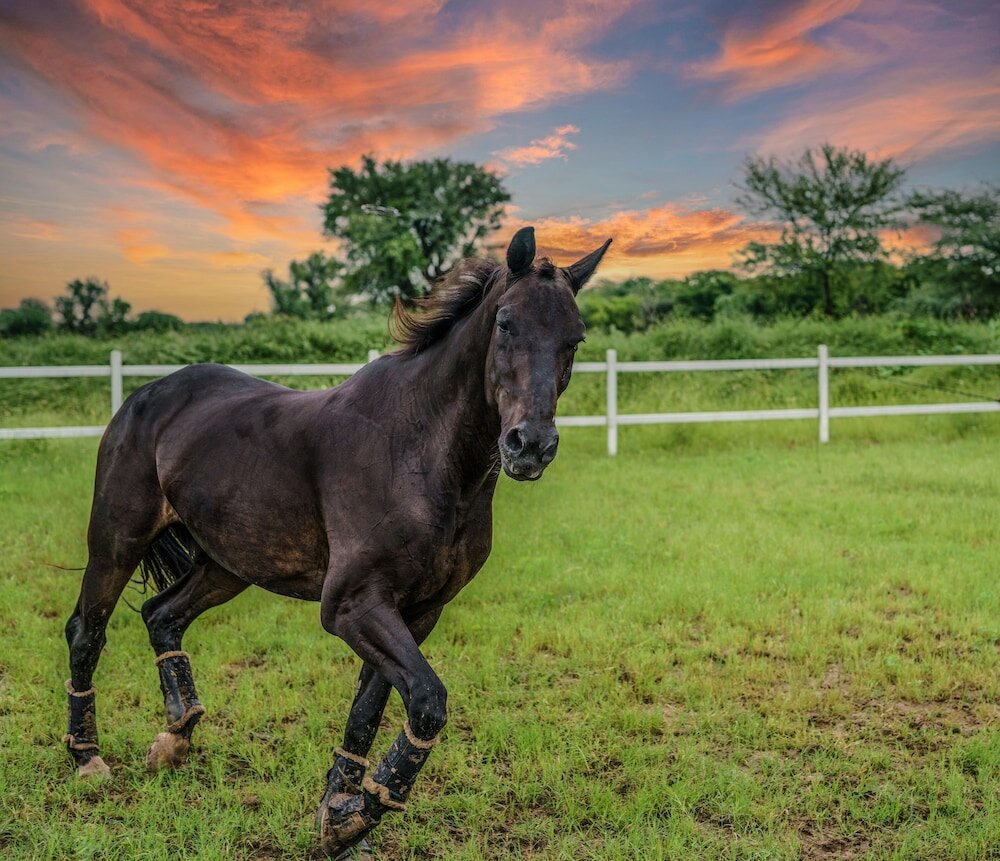Фото Amã Stays & Trails Abhay Villa, Bisalpur