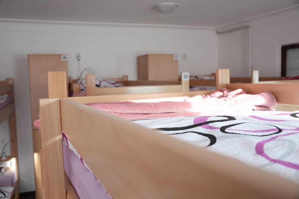 Фото Hostel Vortex