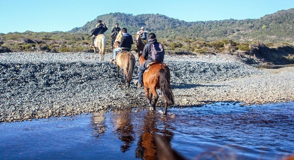 Фото Hotel Parque Tepuhueico